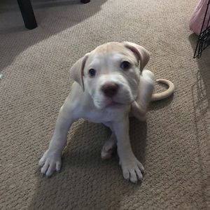 Meet your Posher, Alex